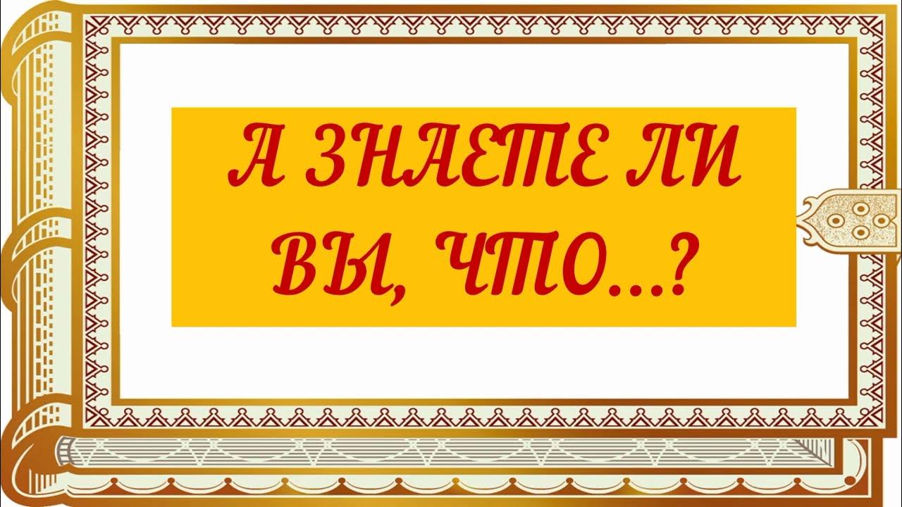 Знаете ли вы что такое литнет