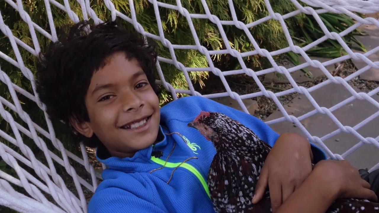 Gabriel's Oboe Nella Fantasia by Ennio Morricone On Irish Tin