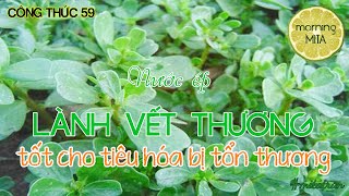 Công Thức 59 - Nước Ép Lành Vết Thương Morning Mita