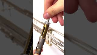 Trumpet Dragon Artistic Series Trim Kit By Kgu  kgu trumpet trompeta trumpetlife