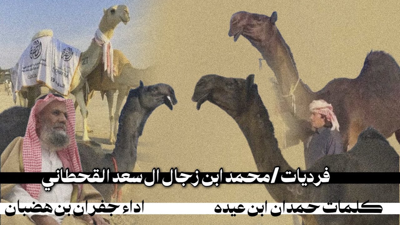 جديد وحصرى || 🌟فرديات/ محمد ابن زجال ال سعد القحطاني 🔥|| كلمات حمدان ابن عيده ||اداء جفران بن هضبان