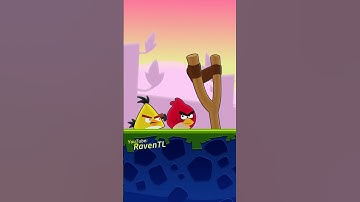 Chuck Was Not Built for Peace (Angry Birds Meme)