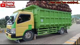 Truck HDL Muat Sawit 15 Ton || Video Truck Viral || Epsd 44