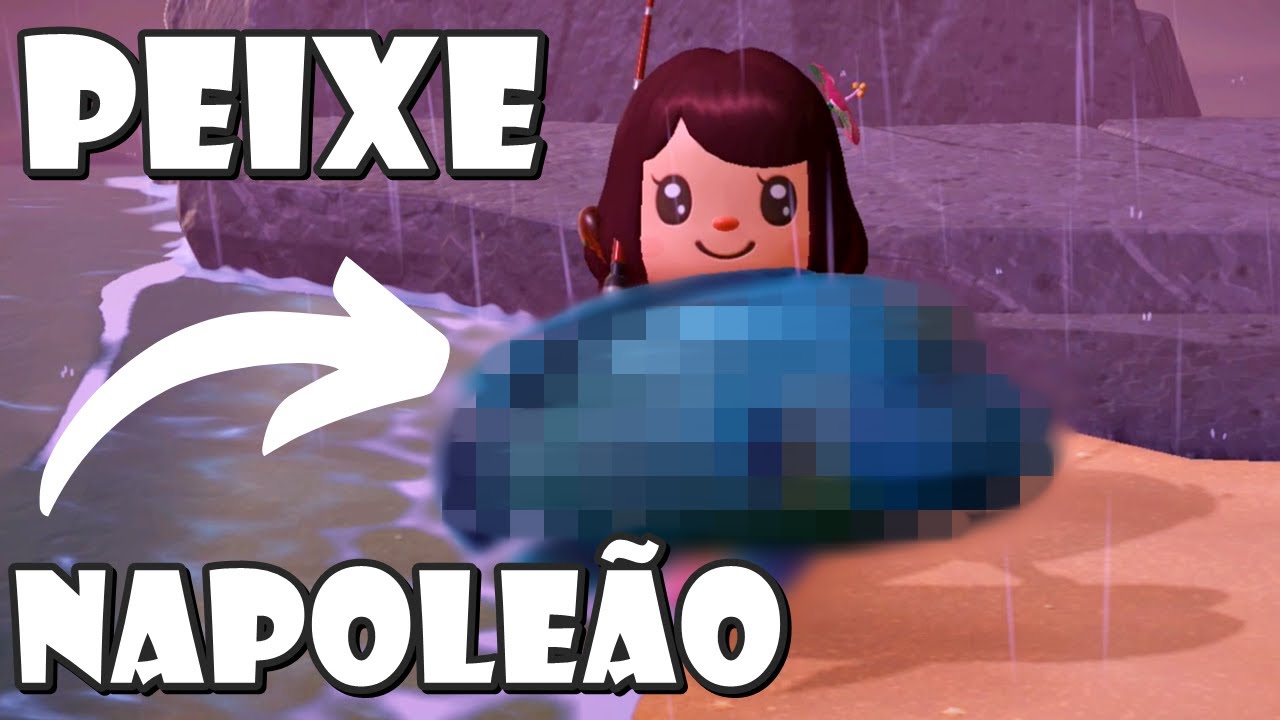 Pesquei o NAPOLEÃO / Morador Novo FOFO / Café Animal Crossing New Horizons