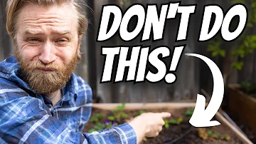 9 Beginner Raised Bed Mistakes to Avoid