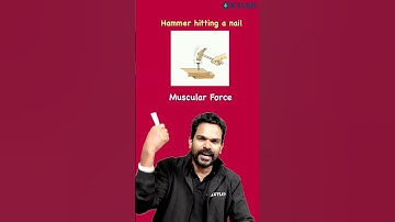 1 Mark-ന്റെ ചോദ്യങ്ങൾ !! | Xylem Class 8