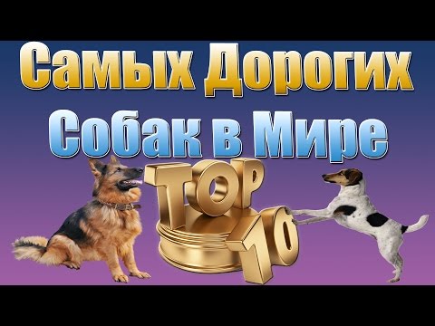 Топ 10 Самых