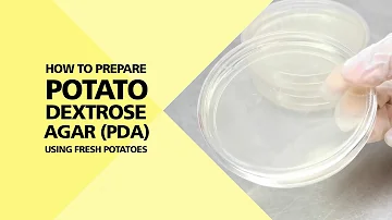 Para que serve agar batata dextrose?