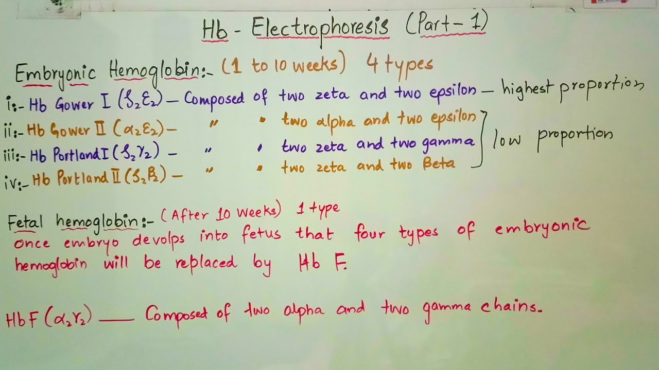 Hemoglobin Electrophoresis Interpretation Chart