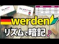 【リズムでドイツ語♪】werden の人称変化＆例文！（独検５級レベル）