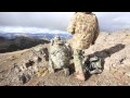 Argentina Red Stag Hunt in Patagonia: Riding In Ashes