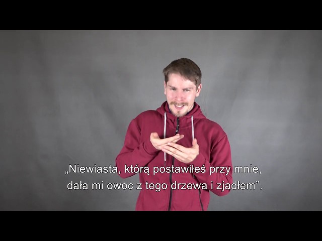 Uroczystość Niepokalanego Poczęcia NMP