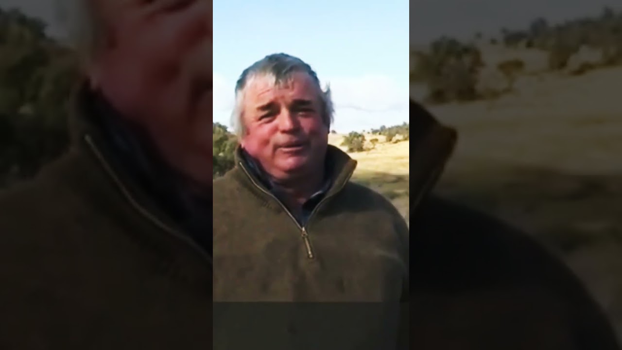 在 YouTube 上觀看「farmer REVEALS UFO Space junk found in his paddock snowy mountains...😱🤨#shorts #youtubeshorts」 在 YouTube 上觀看「farmer REVEALS UFO Space junk found in his paddock snowy mountains...😱🤨#shorts #youtubeshorts」