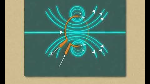 Science concept  चुंबकीय क्षेत्र - Magnetic field (9-10 grade) Marathi med