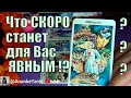 ЧТО ТАЙНОЕ💥СКОРО СТАНЕТ ЯВНЫМ и УДИВИТ ВАС? 🍀♥️ Гадание Таро