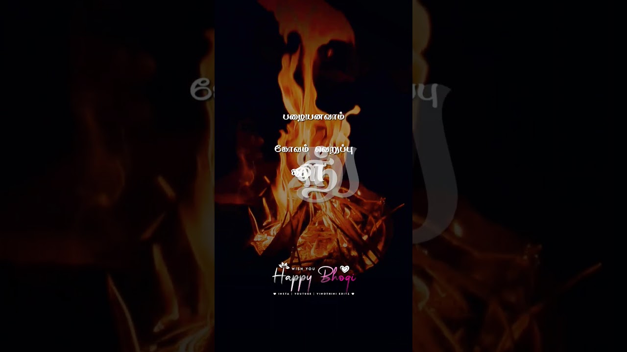 🔥Happy Bhog🔥Bhogi Whatsapp Status Tamil🔥Pongal Whatsapp Status Tamil🌾