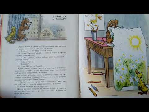 Ромашки в январе