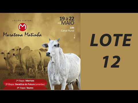 LOTE 12