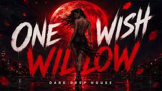 One Wish Willow ▫️Insane House & EDM Festival → 2026