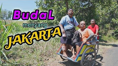 JAKARTA BUDAL || EPSD 135