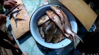 Как пожарить карася и леща без костей. How to fry carp or bream off the bone? Как пожарить карася и леща без костей. How to fry carp or bream off the bone?