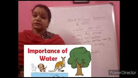 Class 3 Science Block 15 S3 and S4