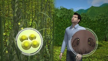 Two students die as rare thunderstorm asthma triggers massive attacks in Australia