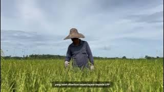 𝐁𝐄𝐋𝐀𝐍𝐉𝐀𝐖𝐀𝐍 𝟐𝟎𝟐𝟔: 𝐒𝐈𝐍𝐀𝐑 𝐇𝐀𝐑𝐀𝐏𝐀𝐍 𝐁𝐀𝐇𝐀𝐑𝐔 𝐁𝐔𝐀𝐓 𝐏𝐄𝐋𝐀𝐃𝐀𝐍𝐆 & 𝐍𝐄𝐆𝐀𝐑𝐀! 