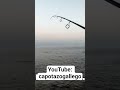 Pesca spinning Baiona Galicia