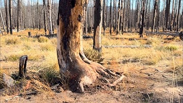 ＧＡＭＥ Ф F ＴＨＲФＮＥＳ | toekomstig project