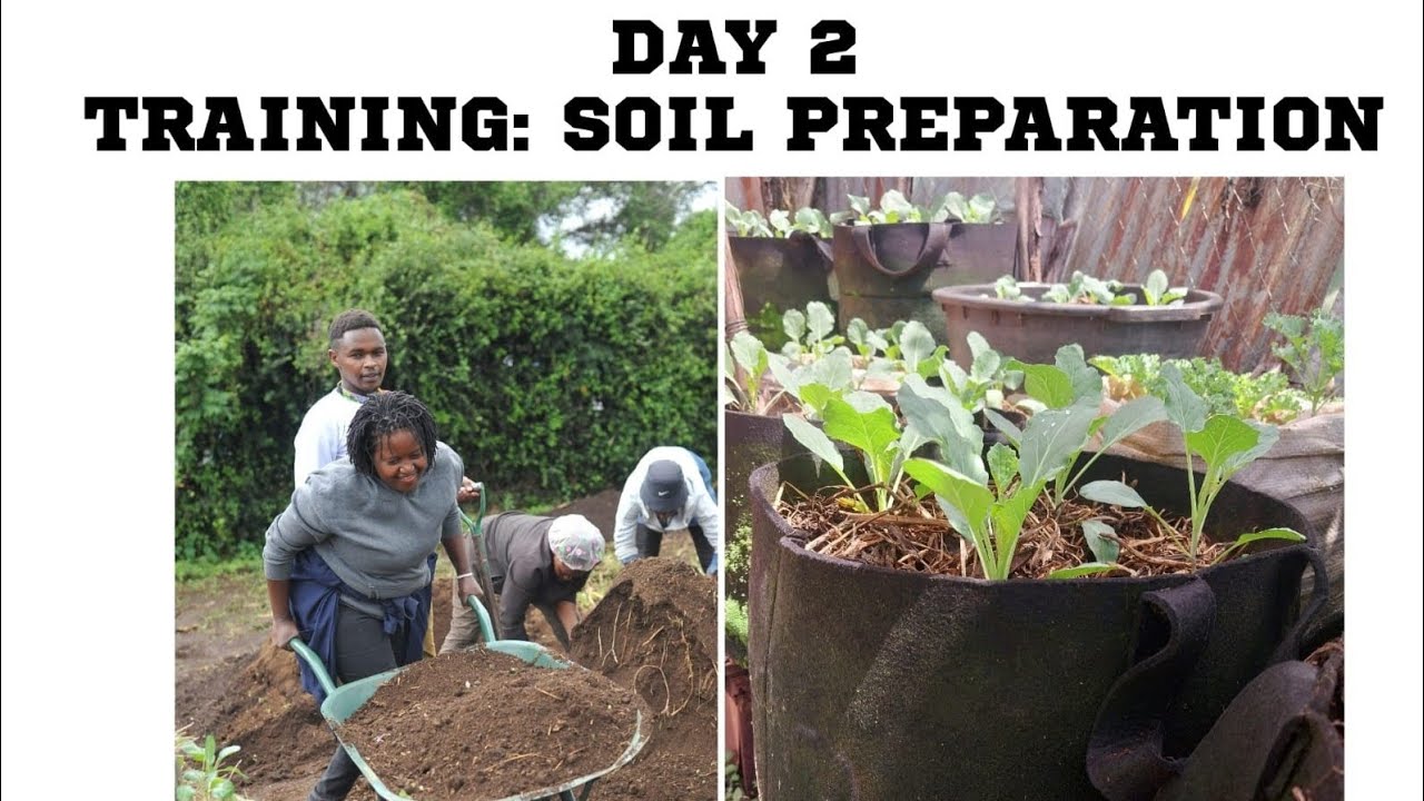 How To Prepare Soil For Vegetable Gardening. - YouTube