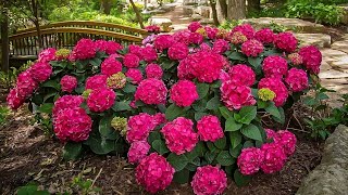 Madison's best kept gardening secret!