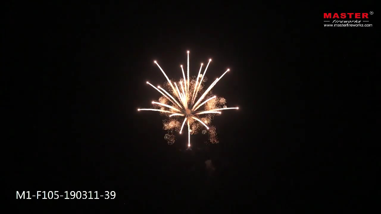 Big Salute 6 Inch Coconut Flower (special technology) Display Shells 1.3G