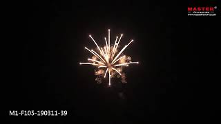 Big Salute 6 Inch Coconut Flower (special technology) Display Shells 1.3G