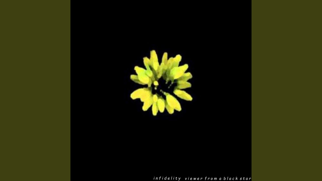 Viewer from a Black Star