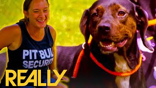 Adorable Rescue Dog Finds A Dog Bestie! | Pit Bulls and Parolees
