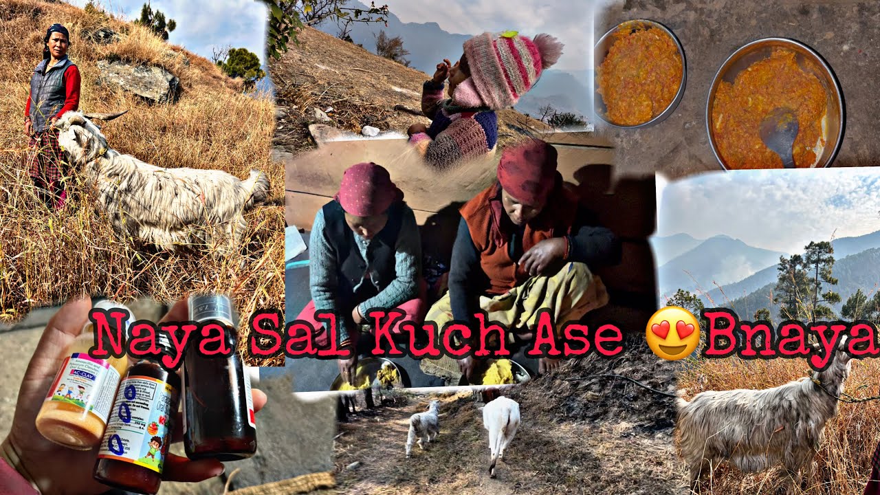 Naya Saal Aa Gaya20026 🥰//Aaj Aaye ￼ mama 🤣 Bhi 