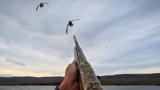 Calling a Flock of Ducks from Way Out...and I Almost Blew It!