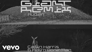 Calvin Harris, Rag'n'bone Man - Giant (Audien Remix) [Audio]