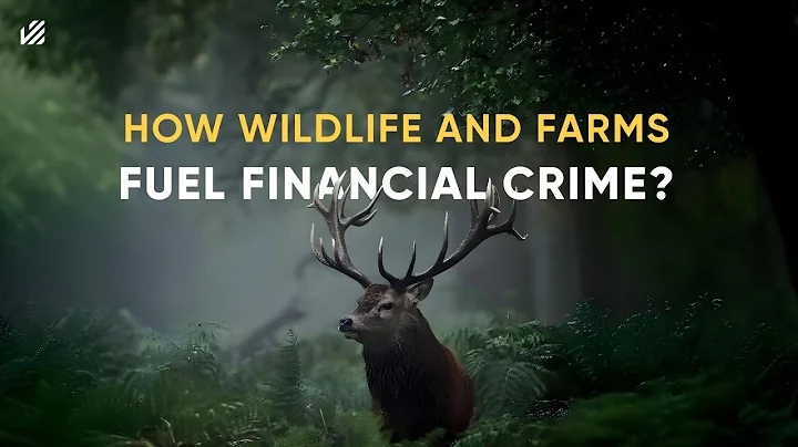 Wildlife Trafficking and Money Laundering: What is the Hidden Connection?