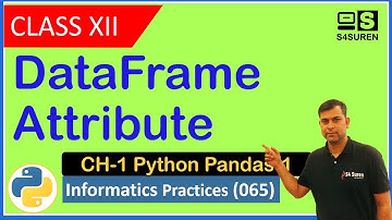 DataFrame Attribute CH-1 Python Pandas | Informatics Practices ( IP 065)  | Class: 12