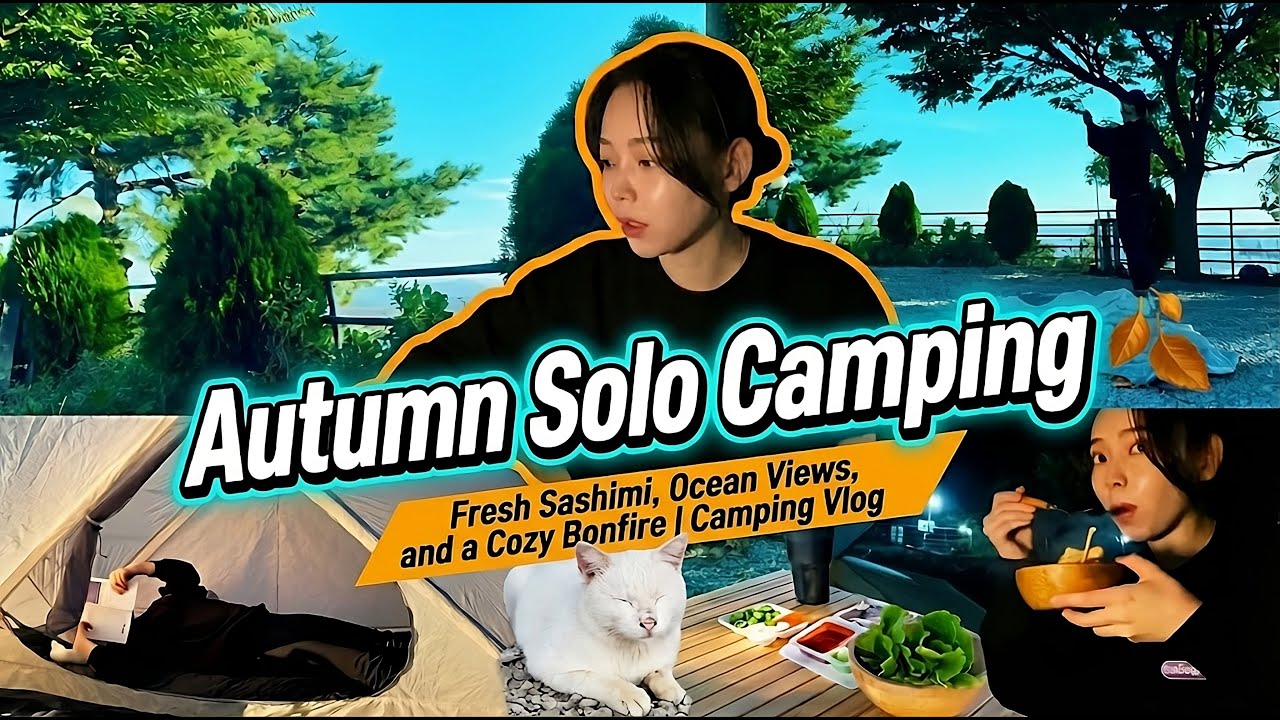 Autumn Solo Camping 🍂 Fresh Sashimi, Ocean Views, and a Cozy Bonfire  Camping Vlog