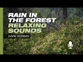 Rain in the Forest: Relaxing Sounds for Deep Relaxation 📺 DARK SCREEN