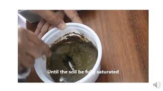 Preparation of Saturated Soil Paste