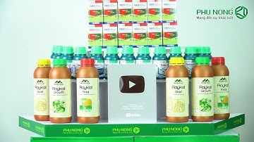 NÚT BẠC YOUTUBE – THÀNH QUẢ GẦN 6 NĂM KIÊN TRÌ  | Phú nông