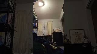 Jumping Off Of My Loft Bed. My Toes Still Hurt And It Took Me 30 Minutes To Practice