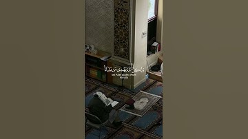 إنك لا تهدي من أحببت ولكن الله يهدي من يشاء، القارئ ياسر الدوسري،  سورة القصص
