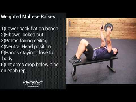 MONKEY METHOD Weighted Maltese Raises: