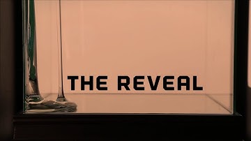 We Have to Confess...