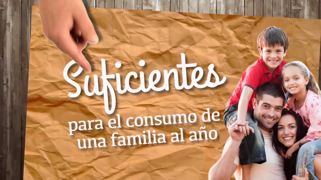 #CuidadoDelAgua | ¿Sabes cuánta agua ahorras si recoges al ducharte? - Alcaldía de Medellín alcaldia de panama